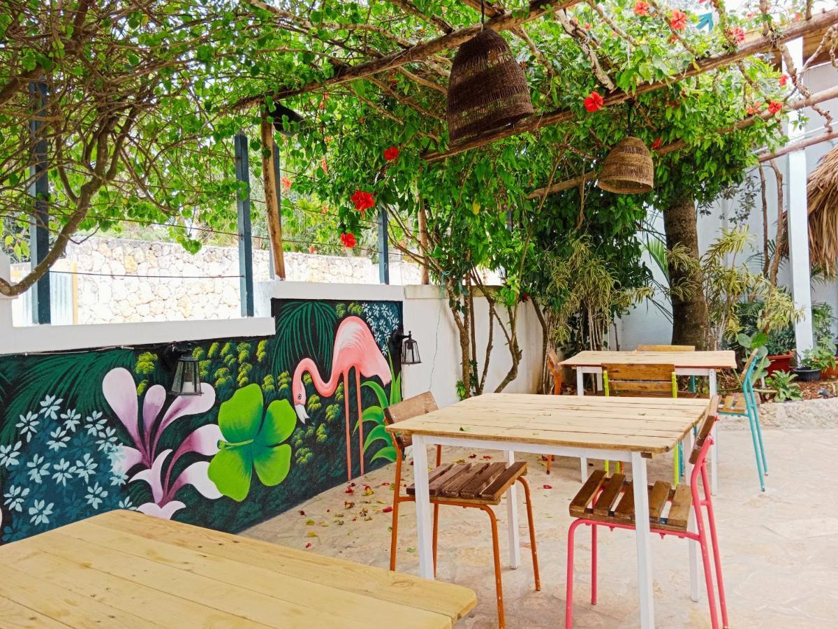 Tribe Inn Jungle & Flamingo Bayahibe Extérieur photo